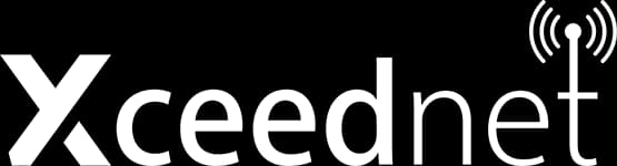 xceednet shopify store development