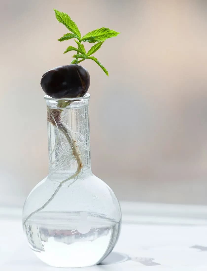 Ecosafe Agriscience