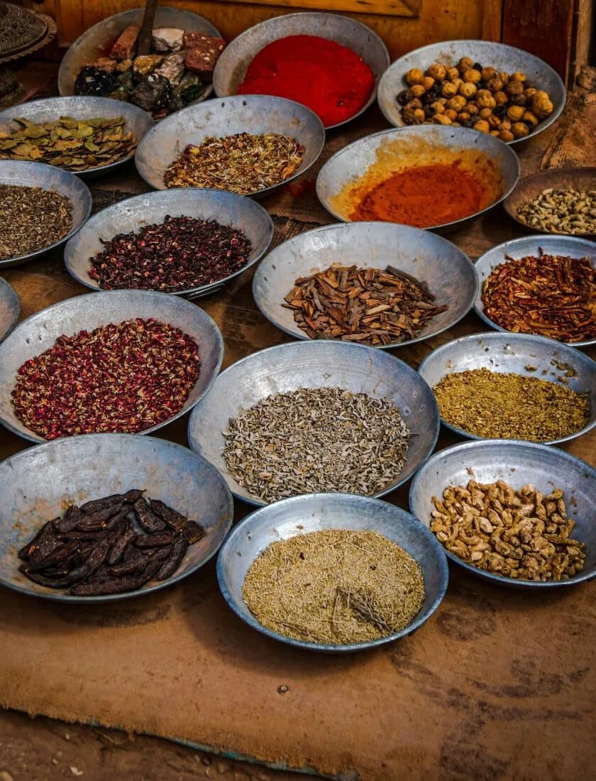 Rajeshree Agri Export
